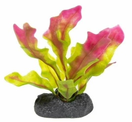 Растение Penn-Plax Flowering Crypt с грузом красно-зеленое, 20 см