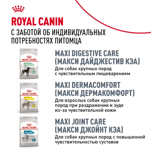 Сухой корм Royal Canin German Shepherd Adult для собак, 11 кг фото 9