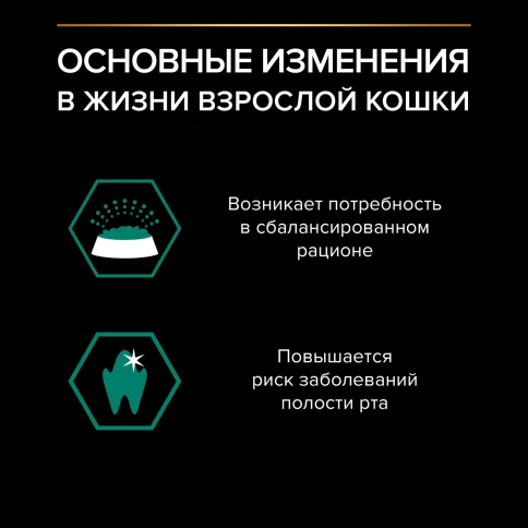 Влажный корм PRO PLAN Beef для взрослых кошек, с говядиной в соусе, 85 г фото 3