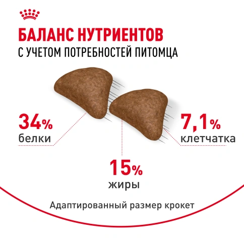 Сухой корм Royal Canin Hairball Care для кошек, 400 г фото 4