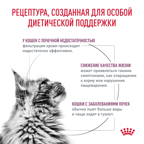 Сухой корм Royal Canin Renal для кошек при заболеваниях почек, 350 г фото 2