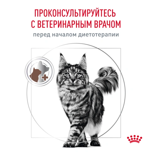 Сухой корм Royal Canin Gastrointestinal для кошек, 350 г фото 7
