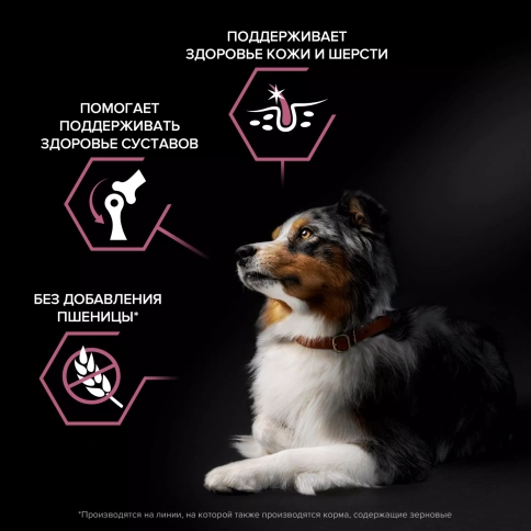 Сухой корм PRO PLAN Salmon для взрослых собак средних пород с чувствительной кожей, с высоким содержанием лосося, 7 кг фото 2
