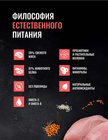 Сухой корм Одно Мясо Turkey для взрослых собак малых пород с мясом, с индейкой, 2 кг фото 2