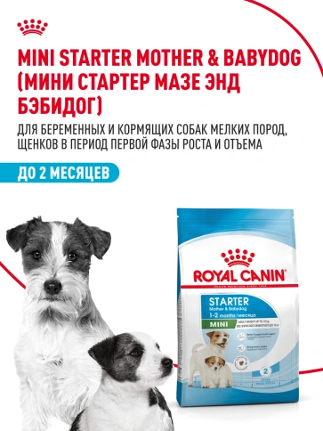 Сухой корм Royal Canin Mini Starter Mother & Babydog для щенков и кормящих сук, 8.5 кг фото 13