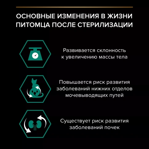Влажный корм PRO PLAN Chicken для котят, кусочки, с курицей в желе, 85 г фото 3