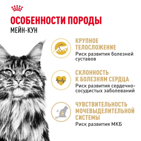 Сухой корм Royal Canin Maine Coon для кошек, 4 кг фото 2