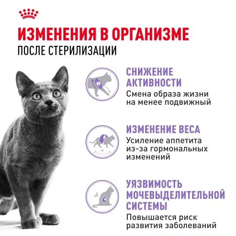 Сухой корм Royal Canin Sterilised для кастрированных котов и стерилизованных кошек, 1.2 кг фото 2