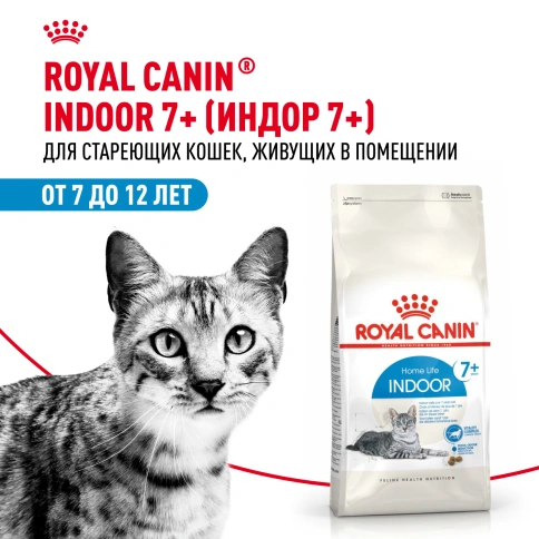 Сухой корм Royal Canin Indoor 7+ для кошек, 3,5 кг фото 4