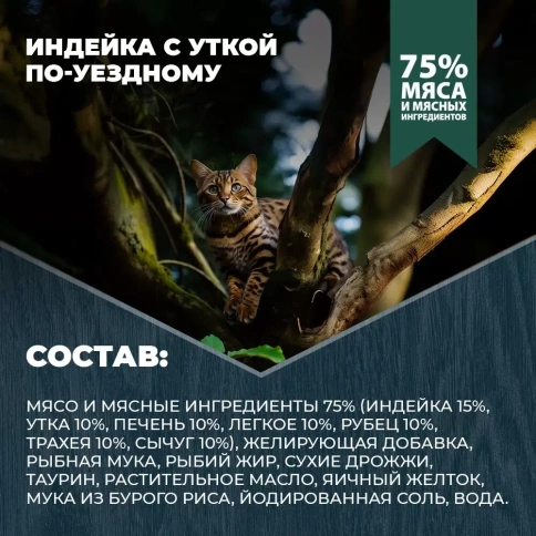 Влажный корм Родные корма Duck & Turkey для кошек, индейка с уткой по-уездному, 410 г фото 4