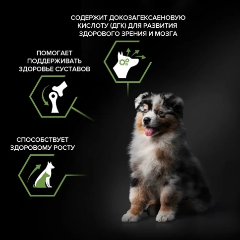 Сухой корм PRO PLAN Chicken для щенков средних пород, с высоким содержанием курицы, 12 кг фото 2