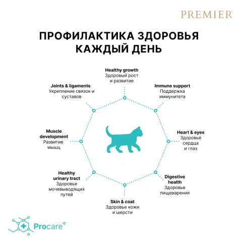 Сухой корм Premier Cat Turkey Kitten для котят, 2 кг фото 4