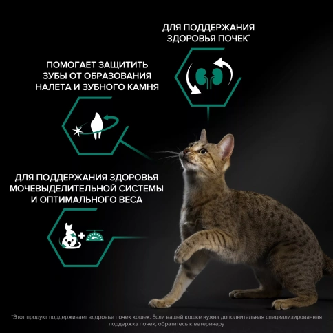 Сухой корм PRO PLAN Salmon для взрослых стерилизованных кошек и кастрированных котов, с высоким содержанием лосося, 400 г фото 2