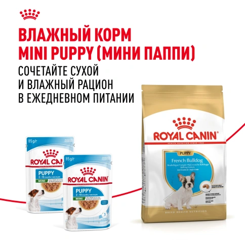 Сухой корм Royal Canin French Bulldog Puppy для щенков, 10 кг фото 8