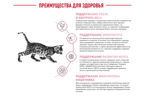 Сухой корм Royal Canin Kitten Sterilised для котят, 3.5 кг фото 18