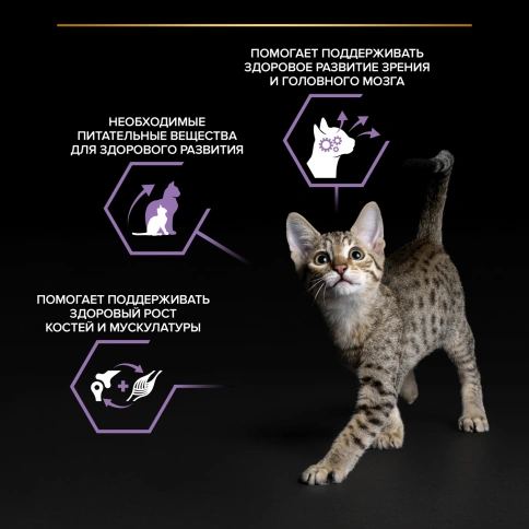 Влажный корм Purina Pro Plan Kitten Healthy Start для котят, с лососем в соусе, 85 г фото 2