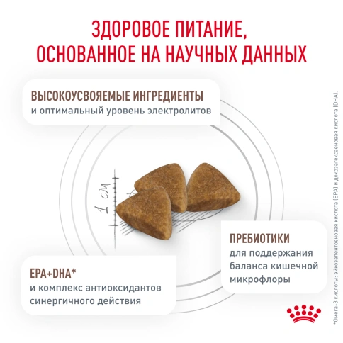 Сухой корм Royal Canin Gastrointestinal для кошек, 2 кг фото 2