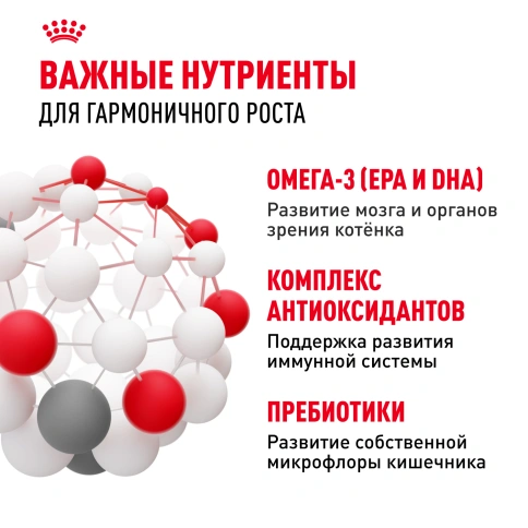 Сухой корм Royal Canin Kitten для котят, 1.2 кг фото 5