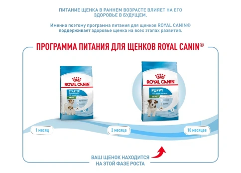 Сухой корм Royal Canin Mini Puppy для щенков, 2 кг фото 14