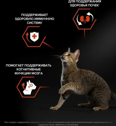 Сухой корм PRO PLAN Salmon для взрослых кошек, с высоким содержанием лосося, 3 кг фото 2