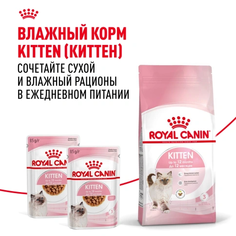 Сухой корм Royal Canin Kitten для котят, 2 кг фото 8