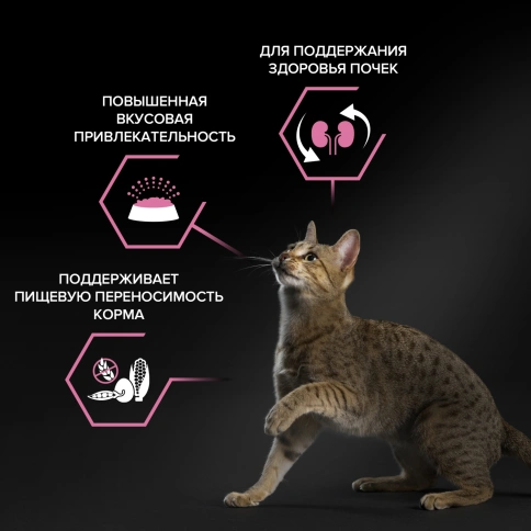 Сухой корм Purina Pro Plan DelicateOpti-Digest Lamb для кошек с чувствительным пищеварением, с ягненком, 400 г фото 2