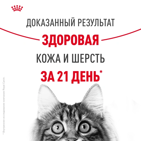 Сухой корм Royal Canin Hair & Skin Care для кошек, 10 кг фото 11