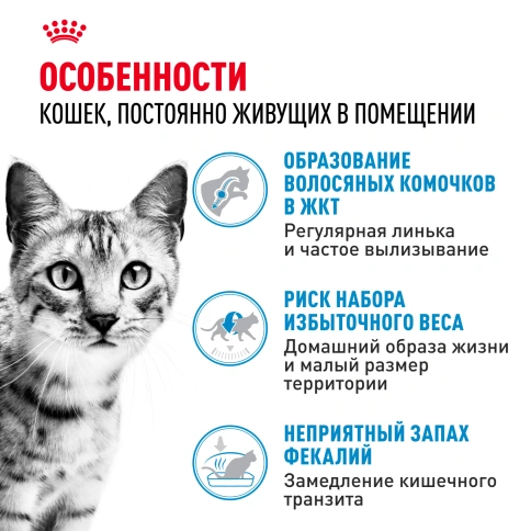 Сухой корм Royal Canin Indoor для кошек, 400 г фото 2