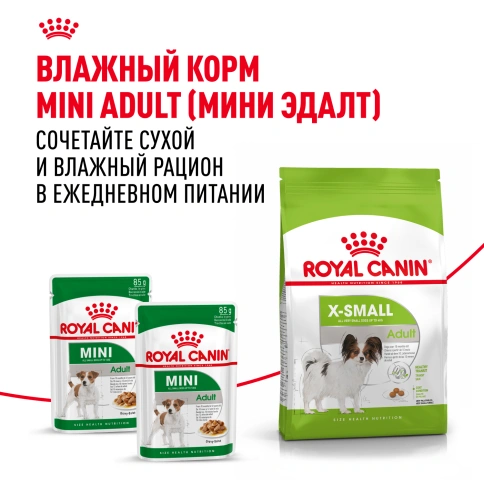 Сухой корм Royal Canin X-Small Adult для собак, 1.5 кг фото 9