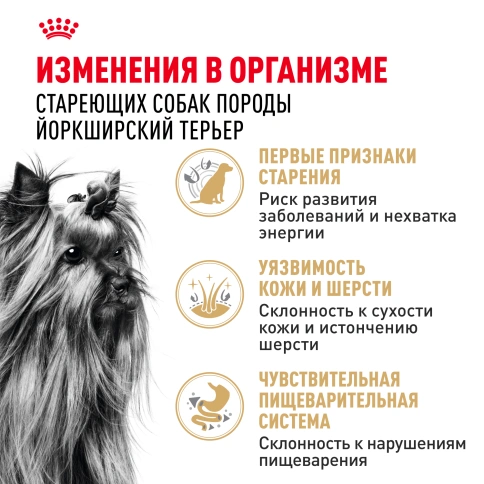 Сухой корм Royal Canin Yorkshire Terrier Adult для взрослых собак, 1.5 кг фото 3