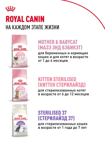 Сухой корм Royal Canin Kitten для котят, 10 кг фото 20
