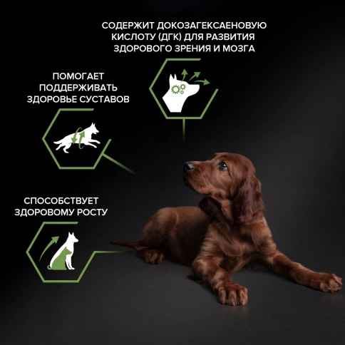 Сухой корм PRO PLAN Chicken для щенков крупных пород с атлетическим телосложением, с высоким содержанием курицы, 18 кг фото 2