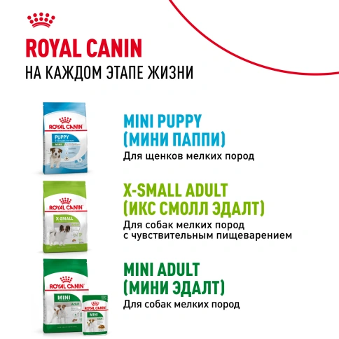 Сухой корм Royal Canin X-Small Puppy для щенков, 1.5 кг фото 13