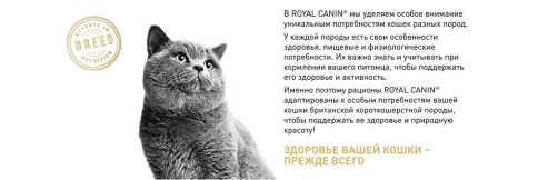 Сухой корм Royal Canin Maine Coon для кошек, 2 кг фото 19