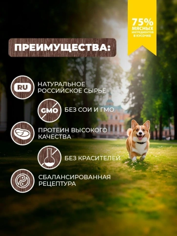 Влажный корм Родные корма для собак, куриные кусочки в соусе по-курски, 410 г фото 2