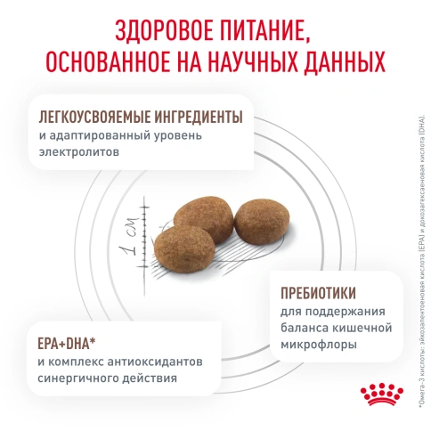 Сухой корм Royal Canin Gastrointestinal Low Fat Small Dogs для собак, 1 кг фото 4