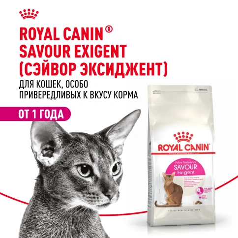 Сухой корм Royal Canin Savour Exigent для кошек, 4 кг фото 12