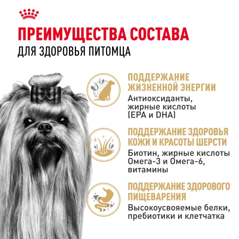 Сухой корм Royal Canin Yorkshire Terrier Adult для взрослых собак, 1.5 кг фото 2