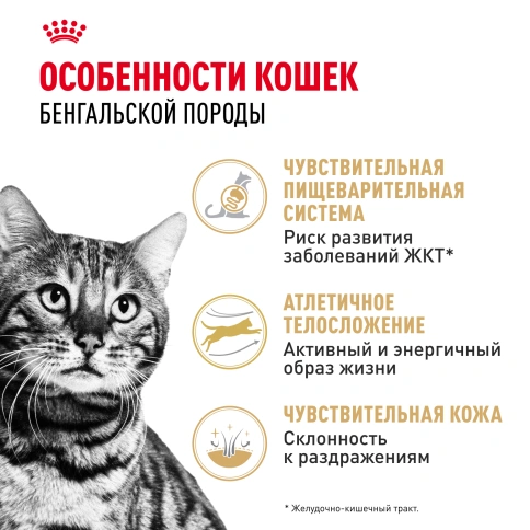 Сухой корм Royal Canin Bengal для кошек бенгальской породы, 400 г фото 2
