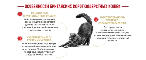 Сухой корм Royal Canin Maine Coon для кошек, 4 кг фото 13