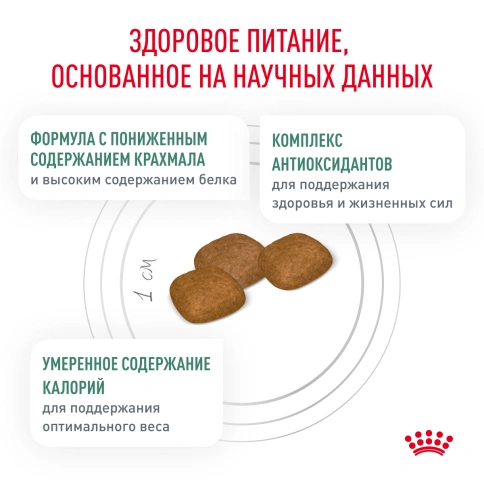 Сухой корм Royal Canin Diabetic для собак, 1.5 кг фото 3