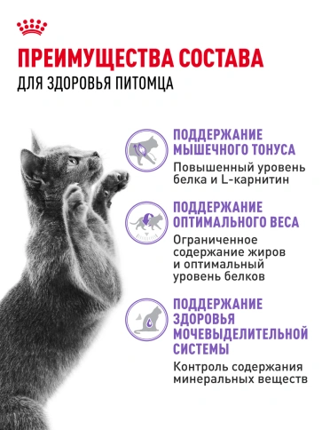 Сухой корм Royal Canin Sterilised для кастрированных котов и стерилизованных кошек, 1.2 кг фото 24