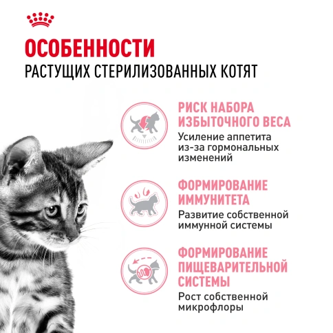 Сухой корм Royal Canin Kitten Sterilised для котят, 3.5 кг фото 2