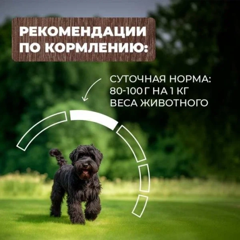 Влажный корм Родные корма для собак, гусиные кусочки в соусе по-старорусски, 970 г фото 5