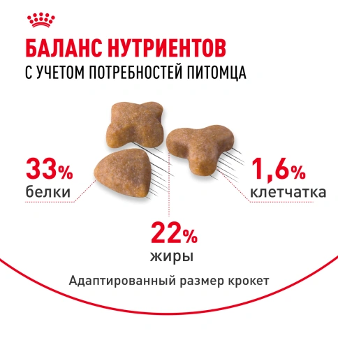 Сухой корм Royal Canin Sensible для кошек, 400 г фото 4