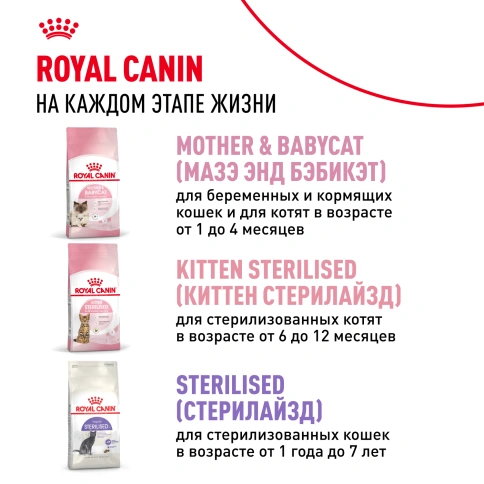 Сухой корм Royal Canin Kitten для котят, 2 кг фото 10