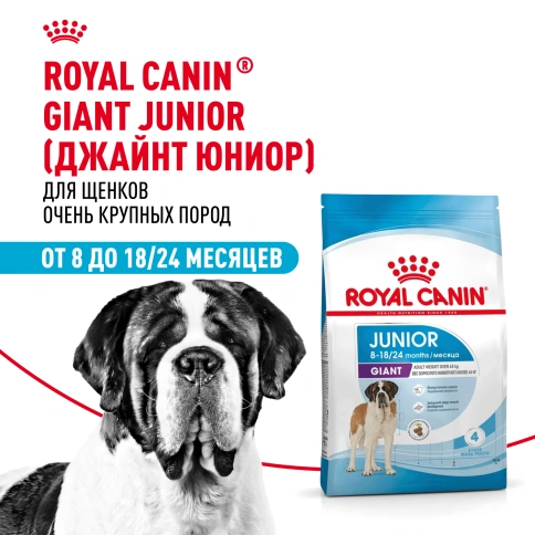 Сухой корм Royal Canin Giant Junior для щенков, 3.5 кг фото 11