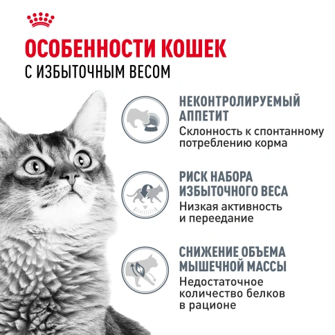 Влажный корм Royal Canin Light Weight Care в соусе для взрослых кошек, склонных к полноте, пауч, 85 г фото 2