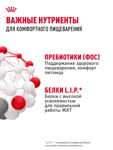 Сухой корм Royal Canin Sensible для кошек, 2 кг фото 20