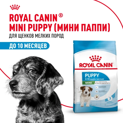 Сухой корм Royal Canin Mini Puppy для щенков, 2 кг фото 12